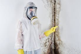 Biohazard Mold Removal in Cherokee, IA